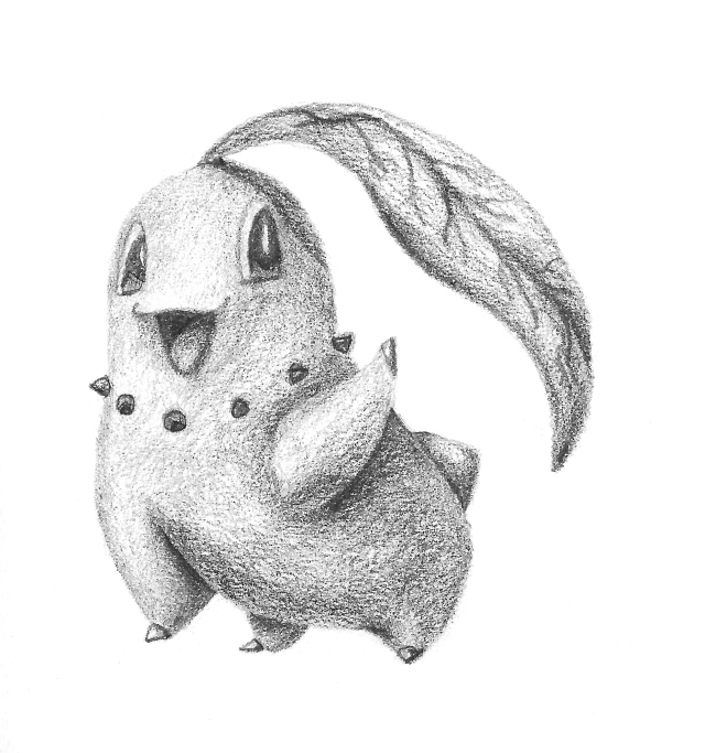 640x683 Johto Starter Drawings - Starter Drawings