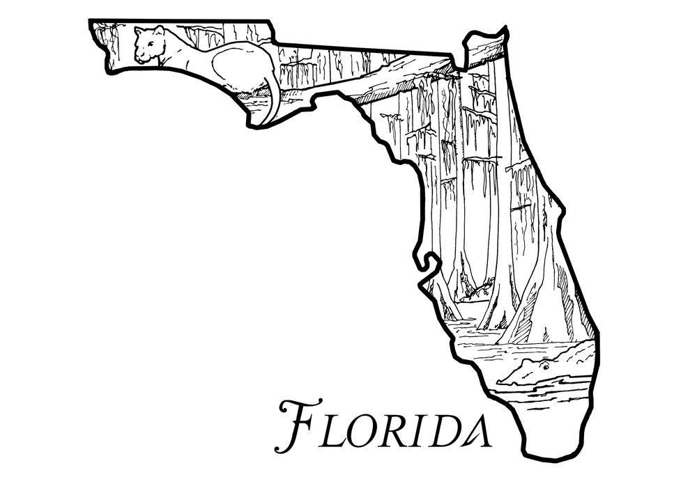 State Of Florida Drawing at Explore collection of