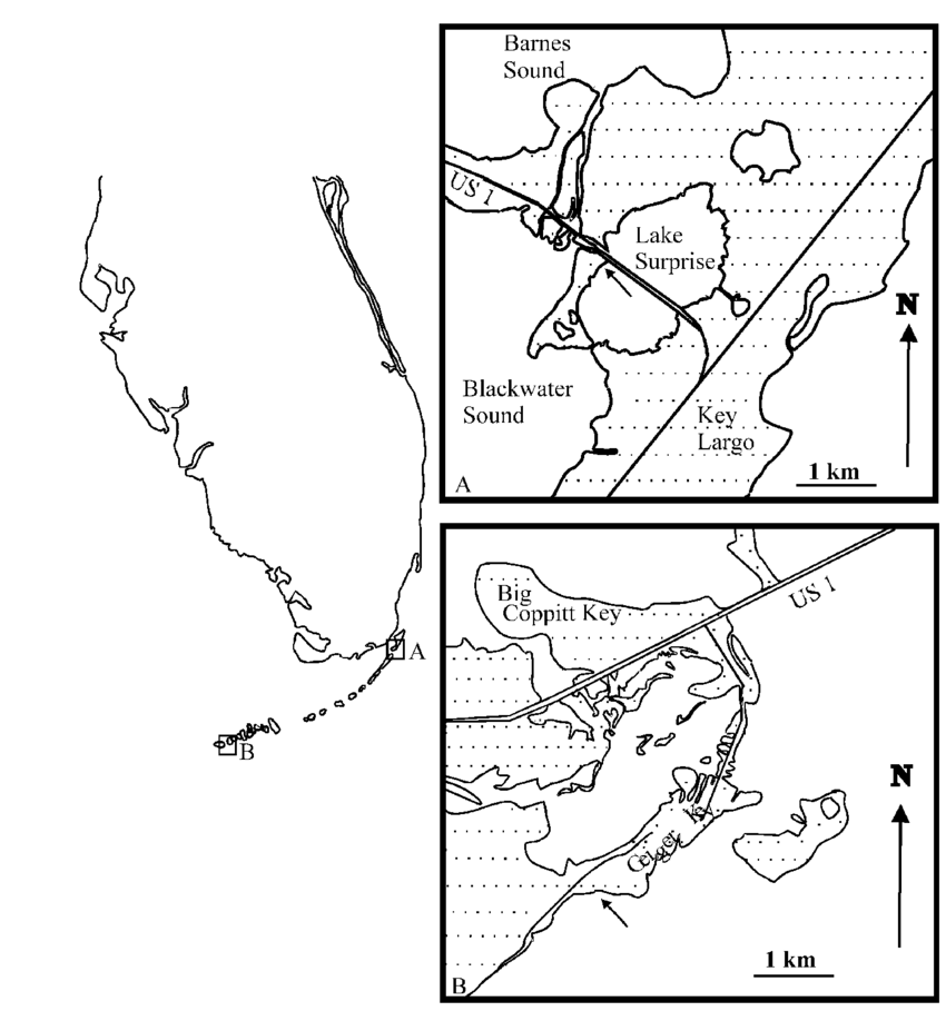 850x909 collection of free florida drawing line download on ui ex - State Of Florida Drawing