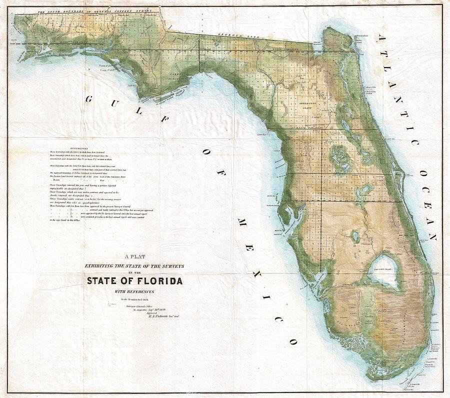 State Of Florida Drawing at Explore collection of