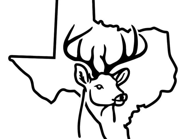 640x480 State Of Texas Outline - State Of Texas Outline Drawing