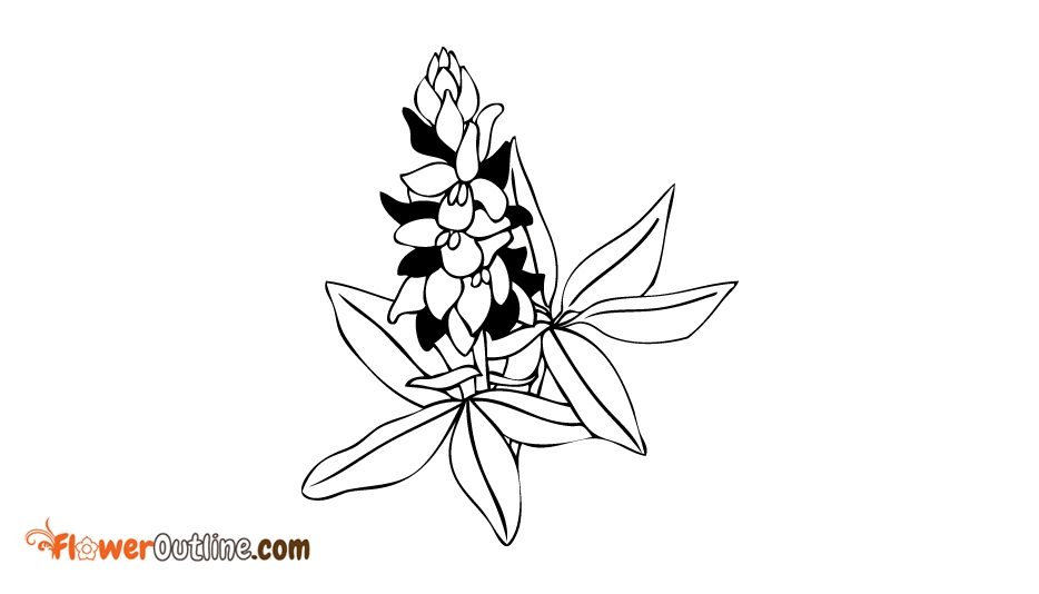 934x534 Bass Drawing State Texas Fish For Free Download - State Of Texas Outline Drawing