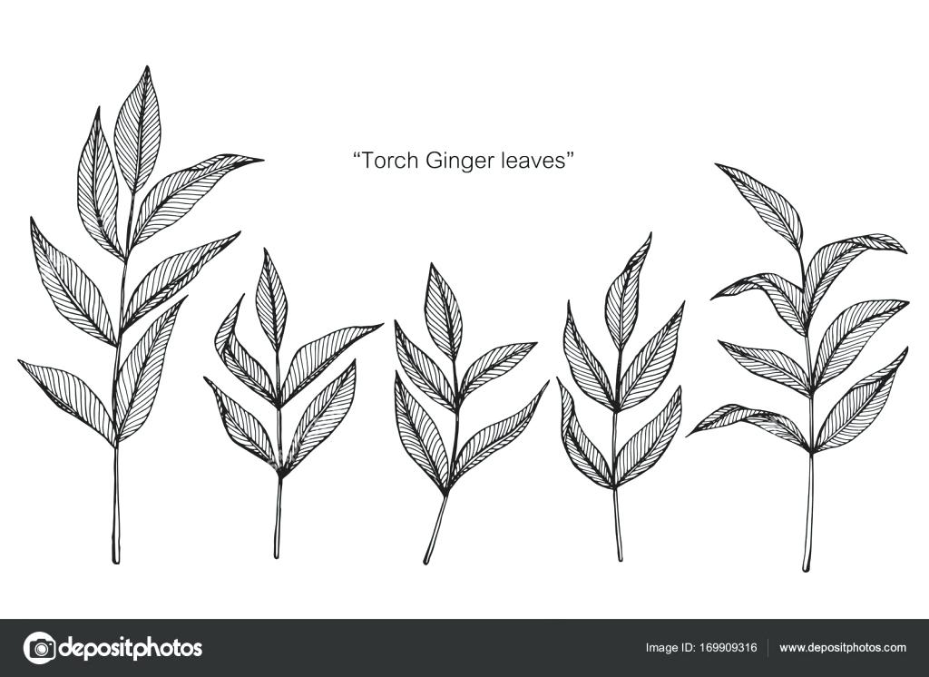 1024x746 Olympic Torch Drawing Images Simple Tiki Cheer And Loathing - Statue Of Liberty Torch Drawing