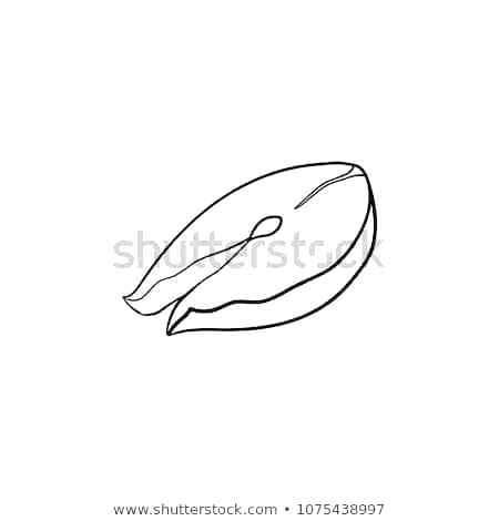 450x470 cartoon fish outline imaginary cartoon fish drawing cartoon fish - Steak Drawing Cartoon