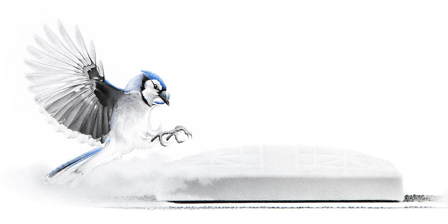 900x450 inning - Steal Drawing