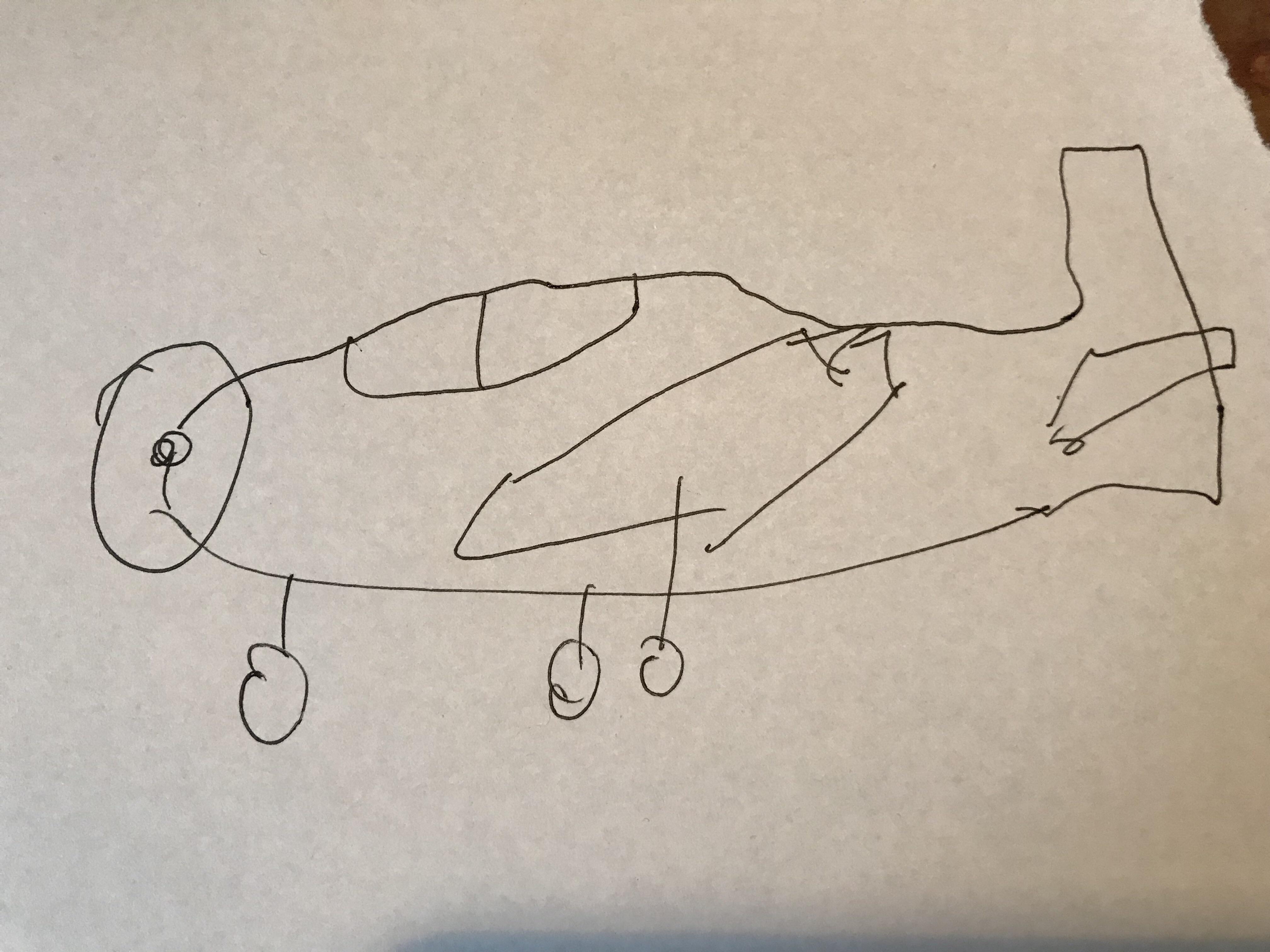 4032x3024 drawing of an texan i did oc no steal come on, karmatrain - Steal Drawing