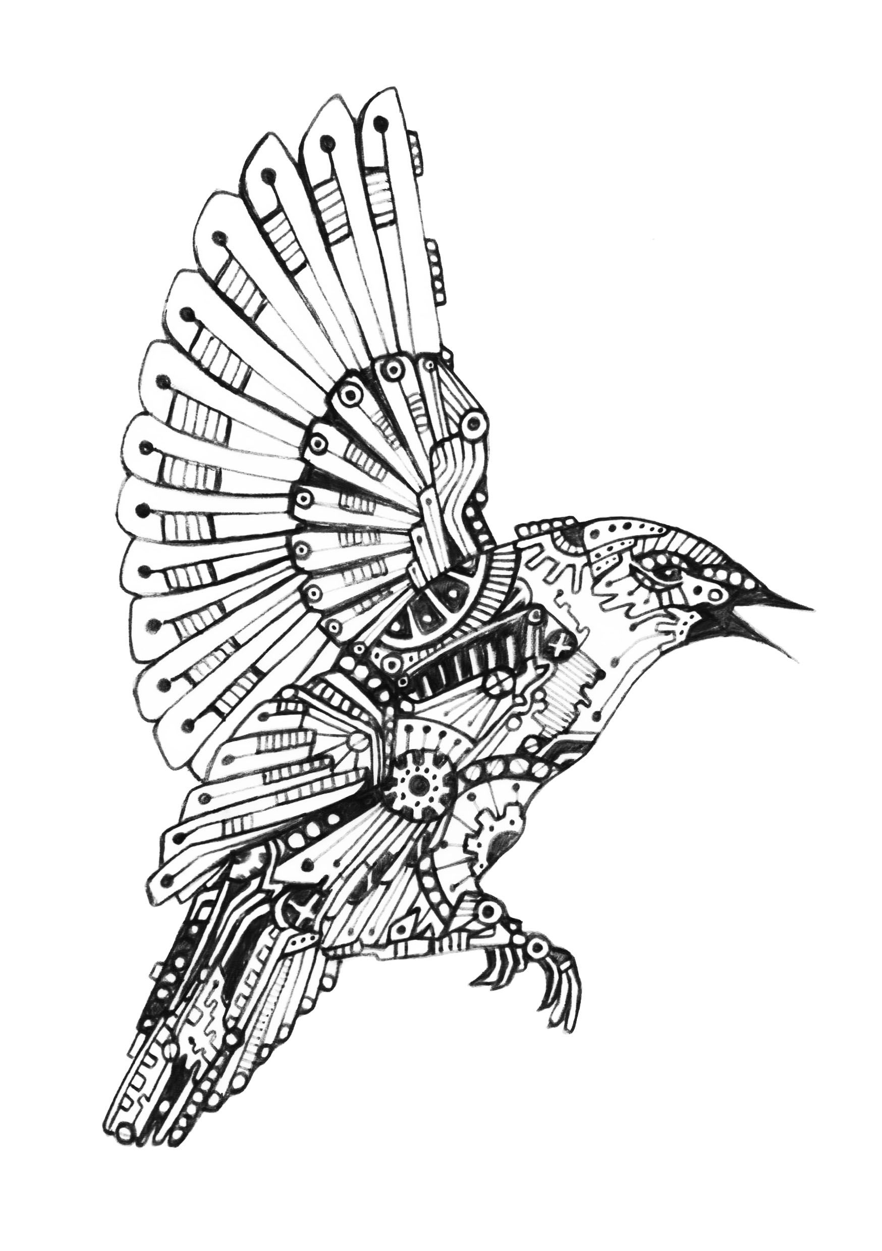 1748x2480 Mechanical Bird Art - Steampunk Bird Drawing