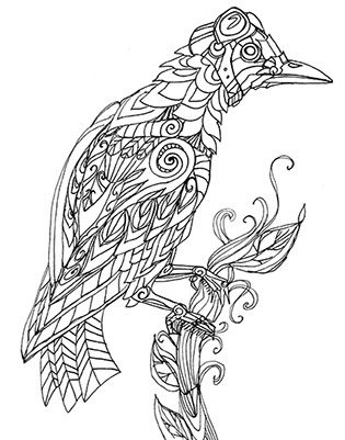 Steampunk Bird Drawing at PaintingValley.com | Explore collection of ...