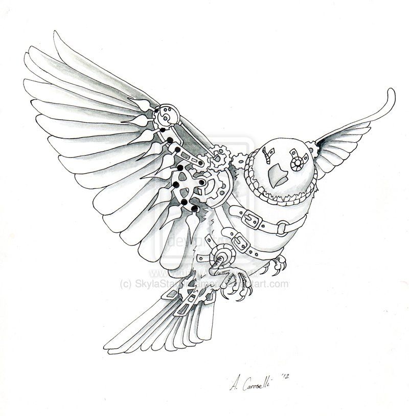 800x813 Steampunk Sparrow - Steampunk Bird Drawing