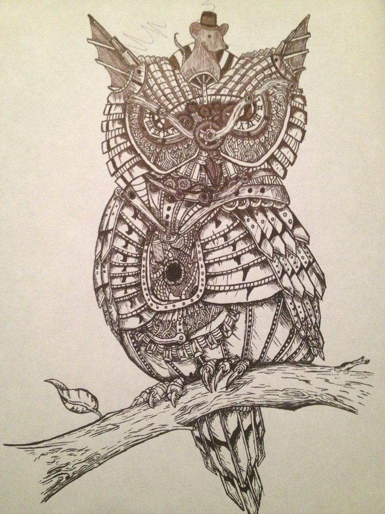 774x1032 Owl Steampunk Drawings - Steampunk Drawings