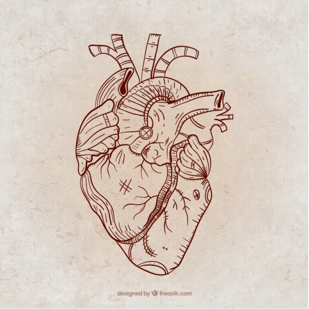 626x626 Hand Drawn Steampunk Heart Vector Free Download - Steampunk Heart Drawing