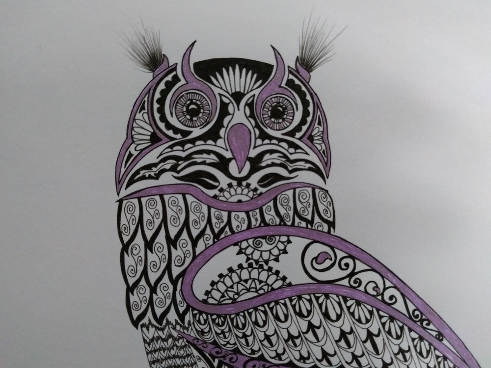 1000x750 Steampunk Owl - Steampunk Owl Drawing