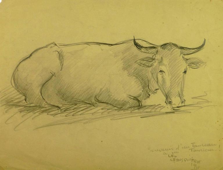 Steer Drawing at Explore collection of Steer Drawing