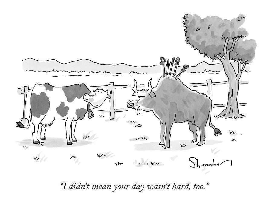 900x680 a steer with several bullfighting swords drawing - Steer Drawing