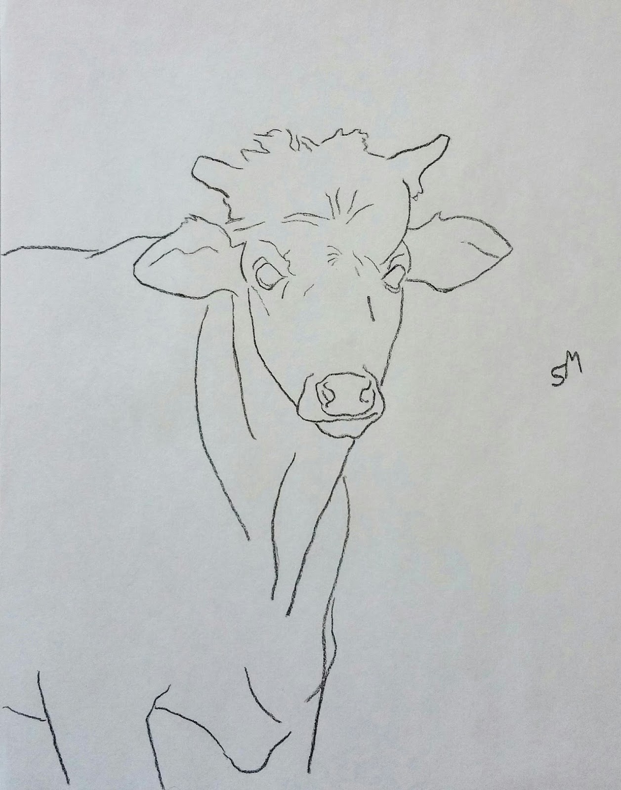 Steer Drawing at Explore collection of Steer Drawing