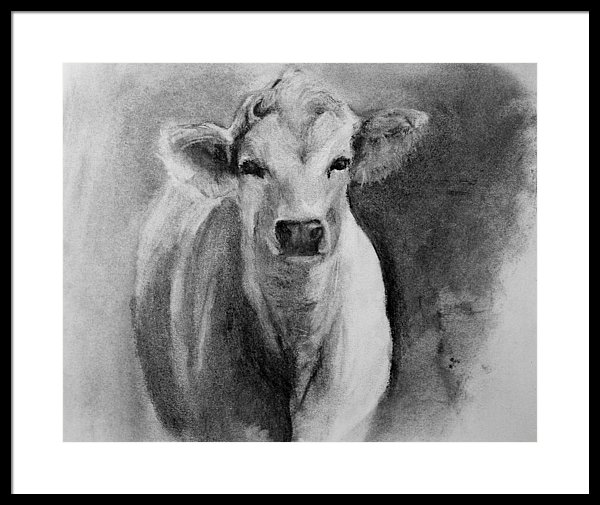 600x505 steer drawing from life framed print - Steer Drawing