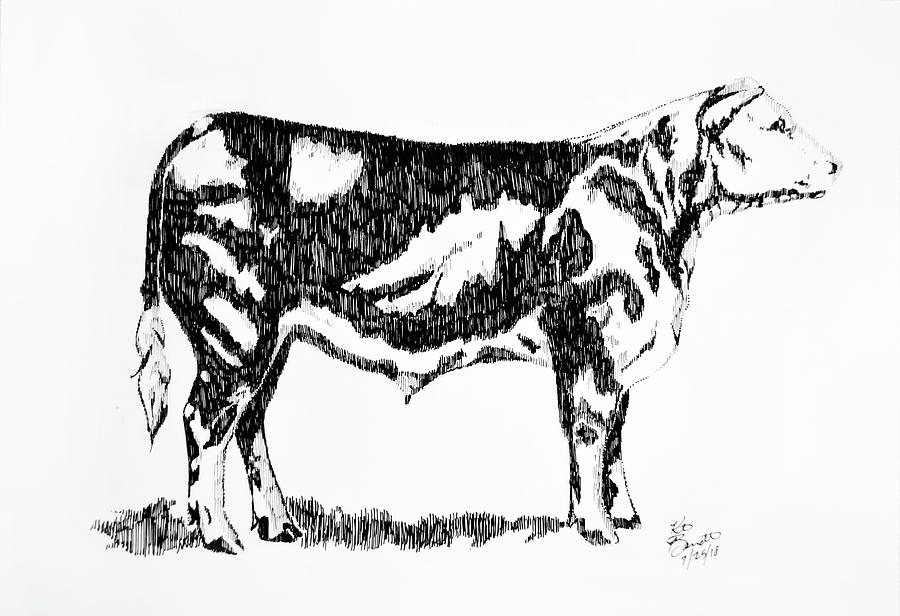 900x616 steer drawing - Steer Drawing