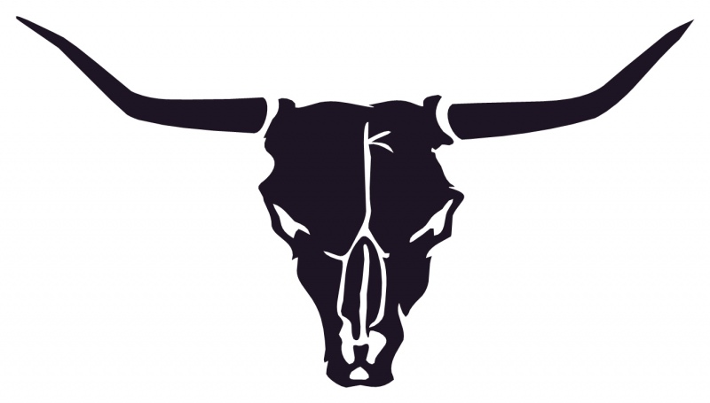 800x455 steer skull clipart - Steer Head Drawing