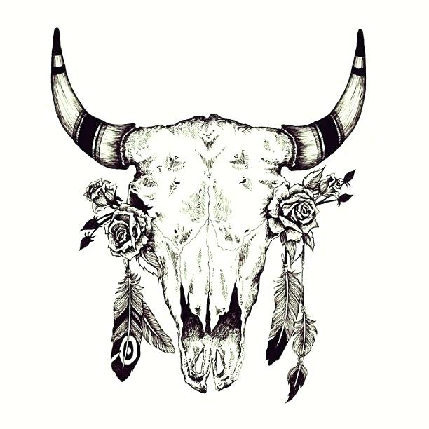 Steer Head Drawing at PaintingValley.com | Explore collection of Steer ...