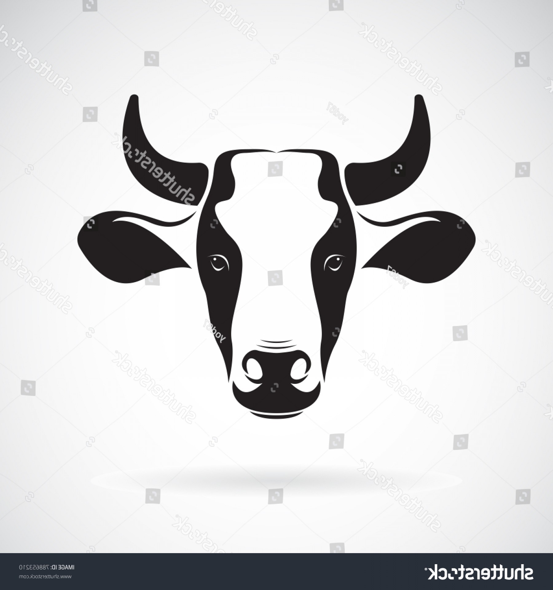 1800x1920 steer skull cow easy animal flower - Steer Skull Drawing