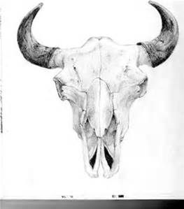 263x299 how to draw a steer skull - Steer Skull Drawing