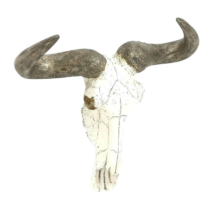 800x800 Steer Skull Decor Tiendadecafe - Steer Skull Drawing