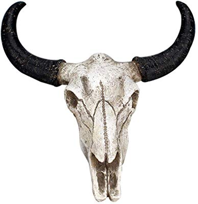 388x400 long horn cow skull wall hanging longhorn steer home - Steer Skull Drawing