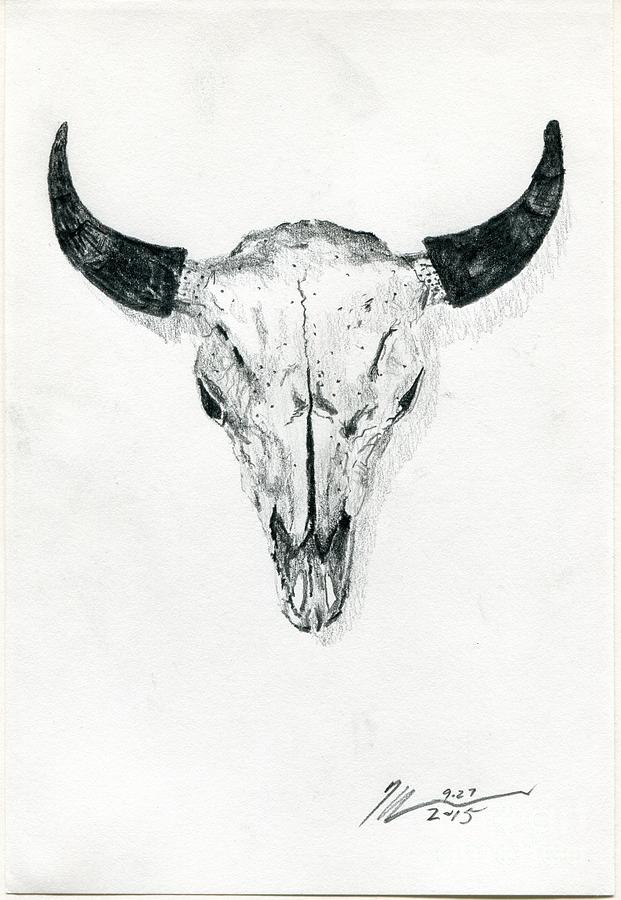 621x900 cattle skull drawing - Steer Skull Drawing