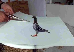 300x210  - Stefan Pabst 3d Drawing