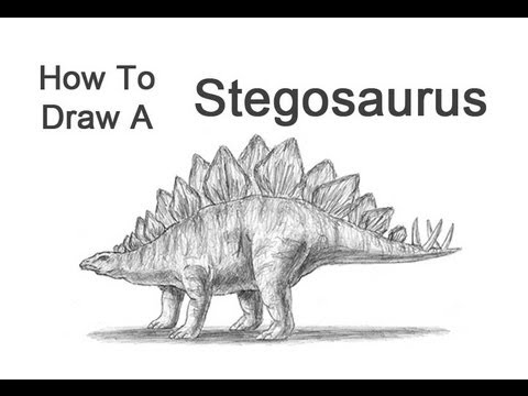 480x360 How To Draw A Stegosaurus - Stegosaurus Drawing