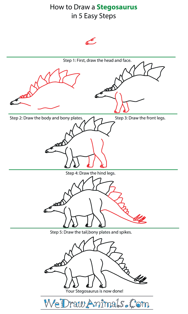 600x1000 How To Draw A Stegosaurus - Stegosaurus Drawing