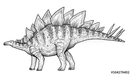 500x288 Stegosaurus Illustration, Drawing, Engraving, Ink, Line Art - Stegosaurus Drawing