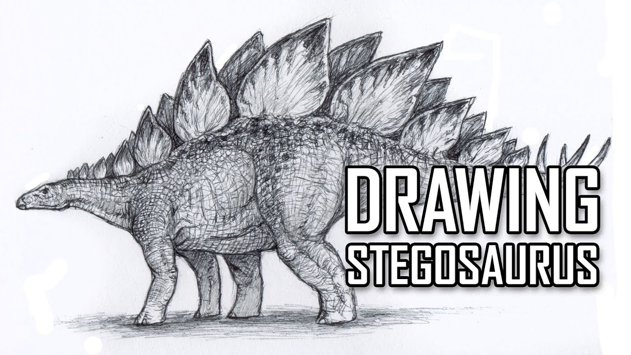 1280x720 Drawing Stegosaurus Using Ballpoint Pen - Stegosaurus Drawing