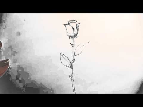 480x360 how to draw a long stem rose - Stem Drawing