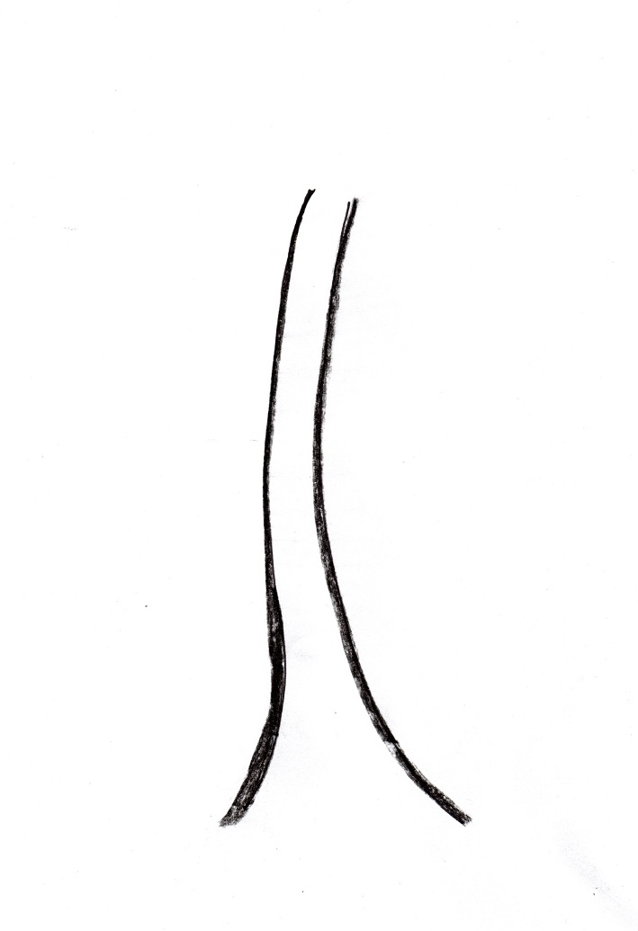 709x1035 Palm Tree Drawing - Stem Drawing