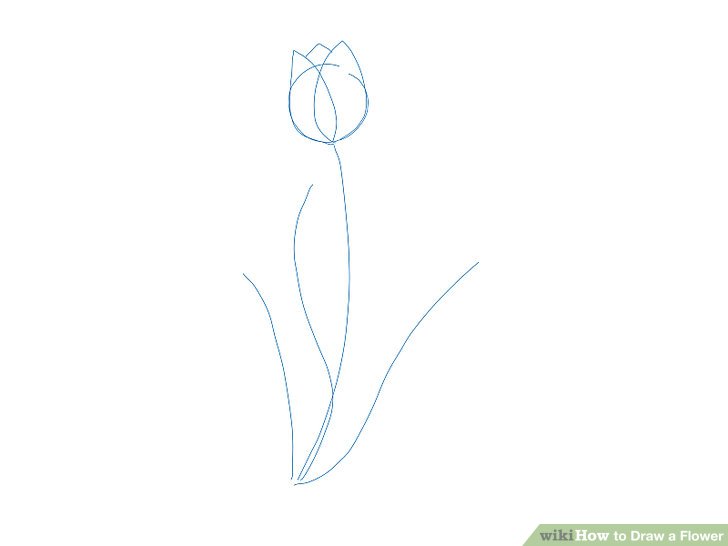 728x546 Easy Ways To Draw A Flower - Stem Drawing