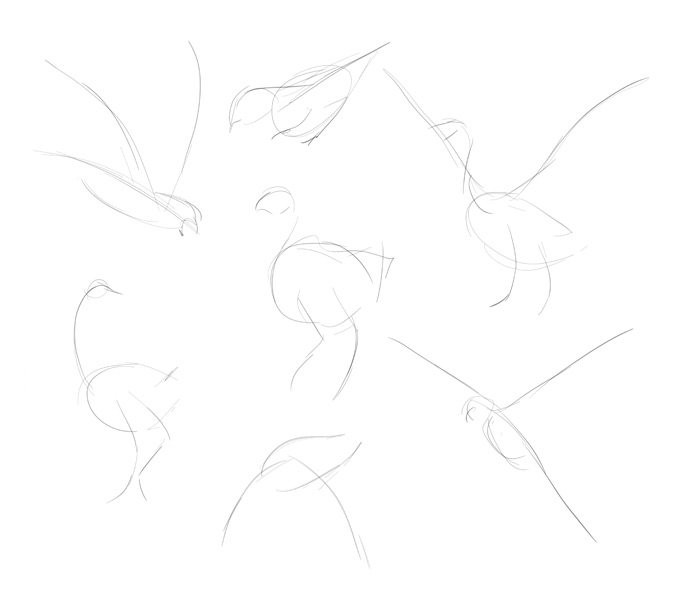 700x614 How To Draw Birds Step - Step By Step Drawing