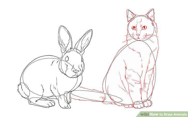 728x455 Ways To Draw Animals - Step By Step Drawing Animals