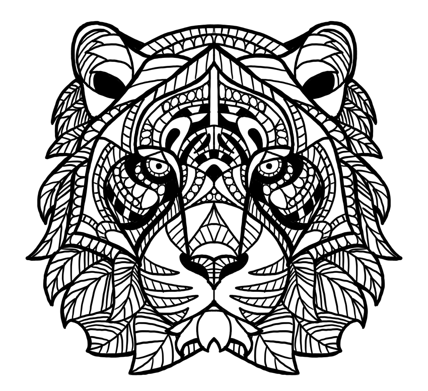 850x777 Art Therapy Draw - Step By Step Drawing Animals For Adults