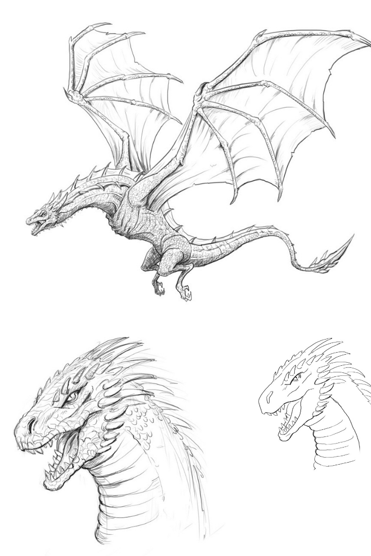 735x1102 How To Draw A Dragon, Step - Step By Step Drawing Dragon Art