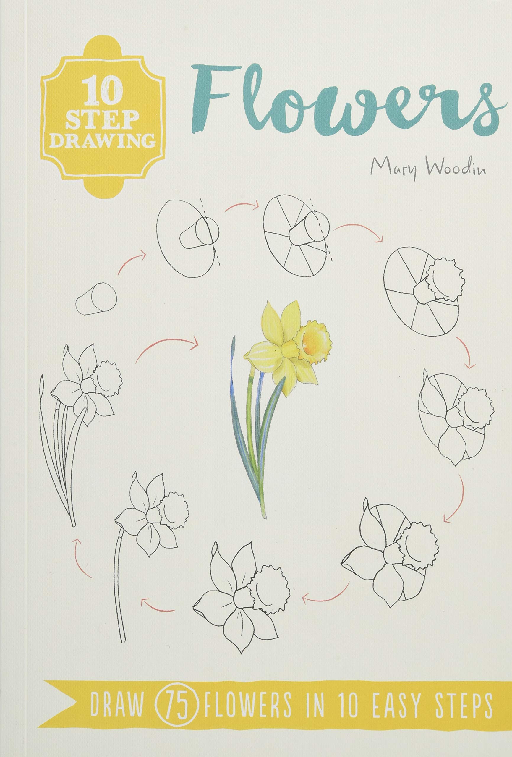 Step By Step Drawing Flowers