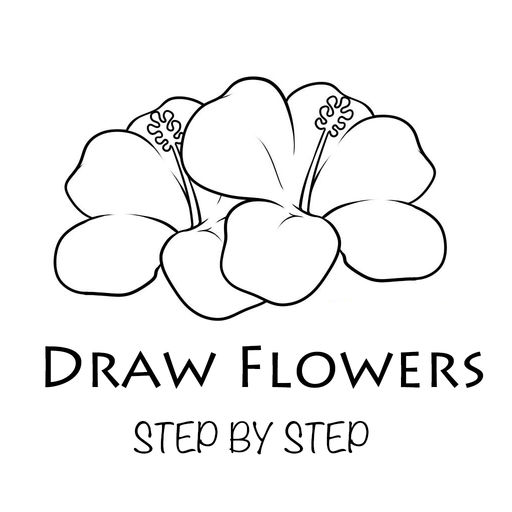 512x512 How To Draw Flowers - Step By Step Drawing Flowers