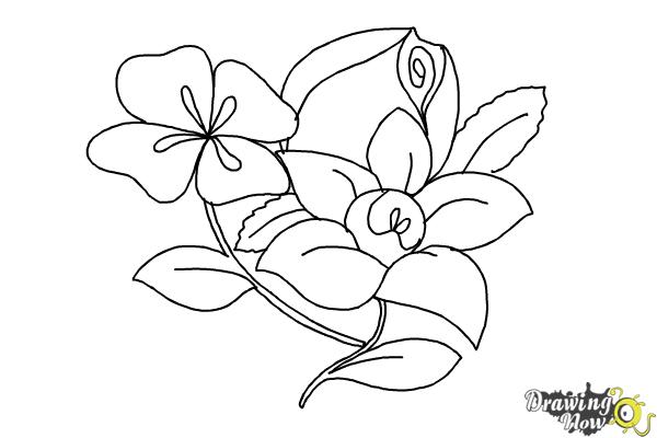 600x400 How To Draw Flowers Step - Step By Step Drawing Flowers