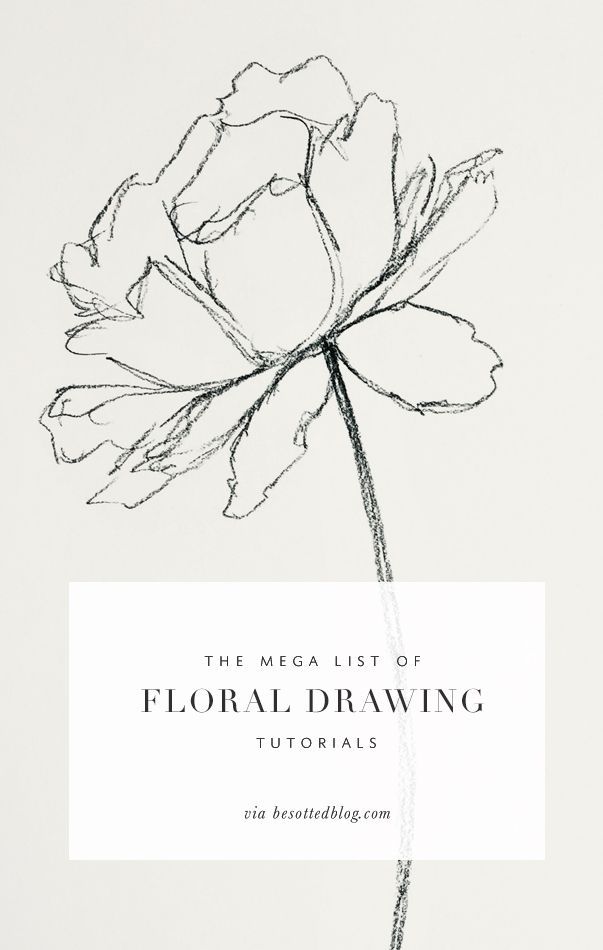 603x950  - Step By Step Drawing Flowers