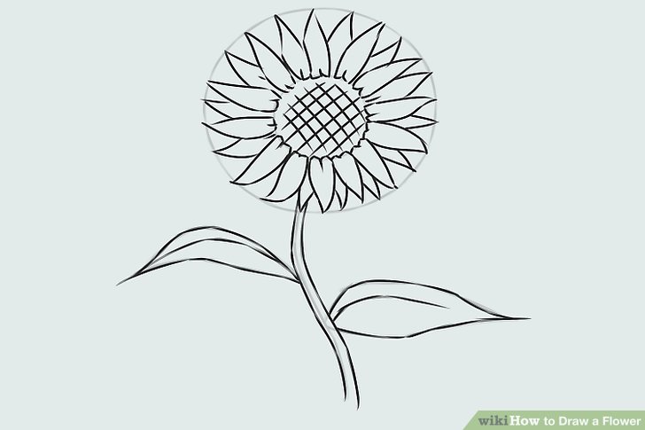 728x485 Easy Ways To Draw A Flower - Step By Step Drawing Flowers