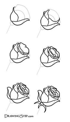 235x406 Easy Flowers To Draw For Beginners Step - Step By Step Drawing Flowers Beginner