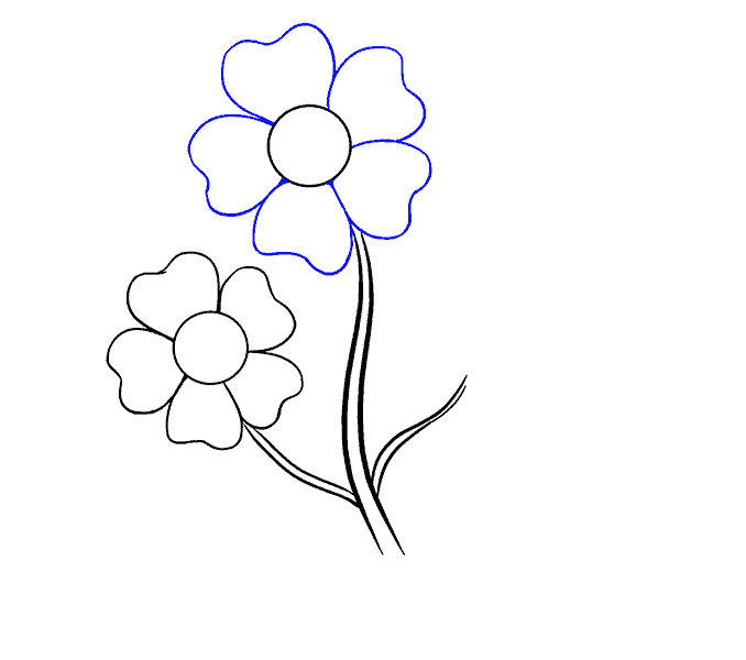 678x600 How To Draw Cartoon Flowers Easy Step - Step By Step Drawing Flowers Beginner