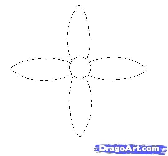 538x500 Step - Step By Step Drawing Flowers Beginner