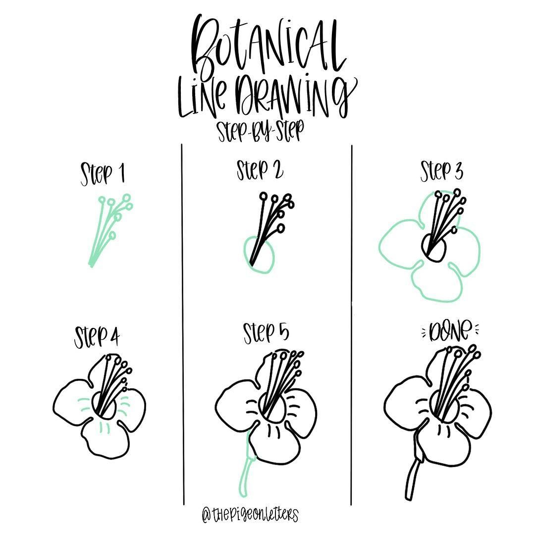 1080x1080 Step - Step By Step Drawing Flowers Beginner