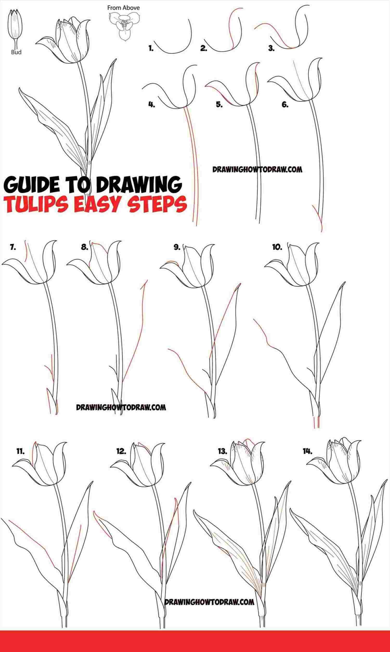 Step By Step Drawing Flowers Beginner at Explore